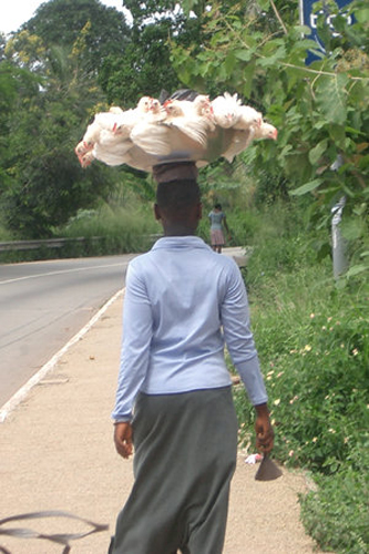 İnternetin en tuhafları galerisi resim 12