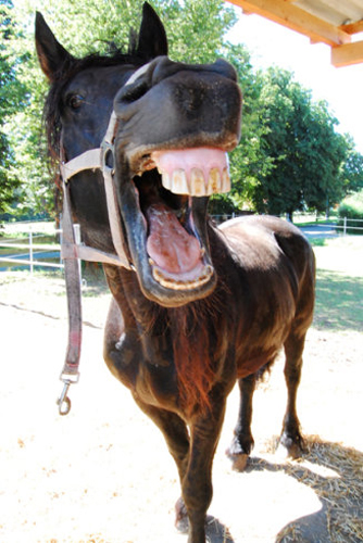 İnternetin en tuhafları galerisi resim 23