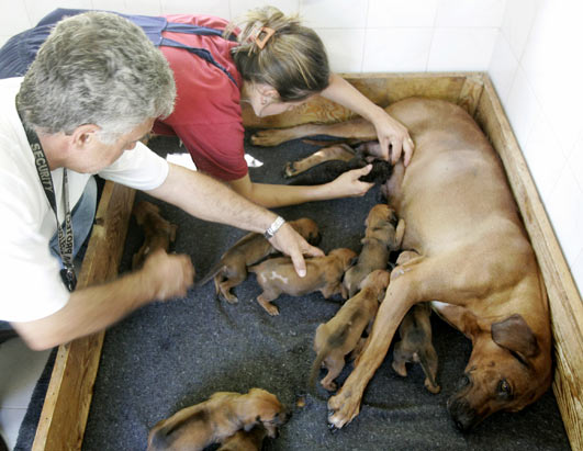 Doğanın süt anneleri galerisi resim 19