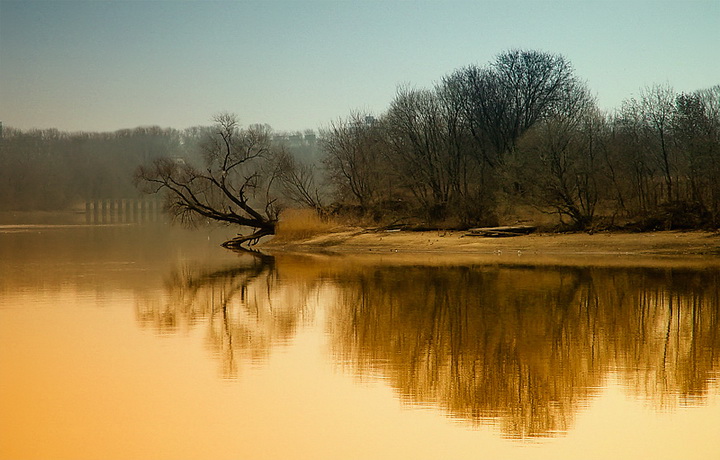 Yaşayan tarih Moskova galerisi resim 44