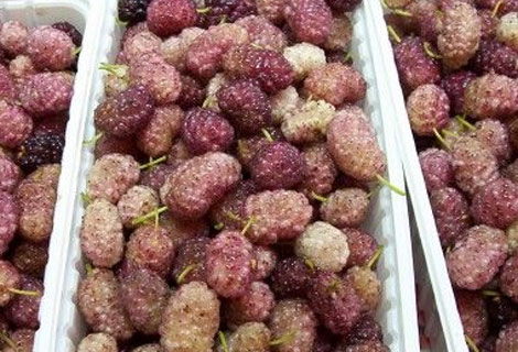 Dutun inanılmaz faydaları galerisi resim 4