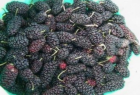 Dutun inanılmaz faydaları galerisi resim 8