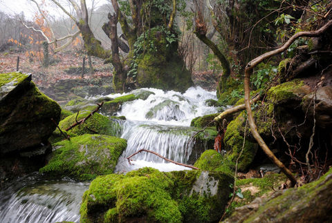 Kaz Dağları galerisi resim 1