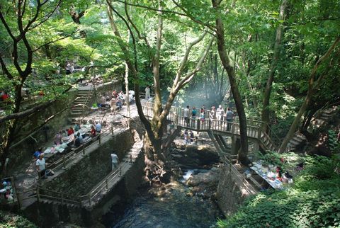 Kaz Dağları galerisi resim 11