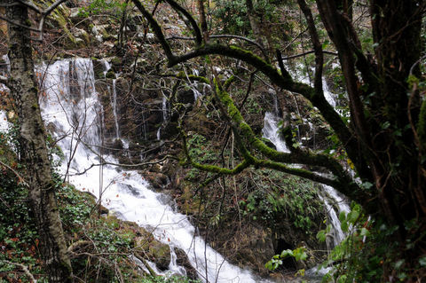 Kaz Dağları galerisi resim 12