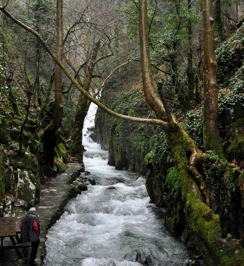 Kaz Dağları galerisi resim 2