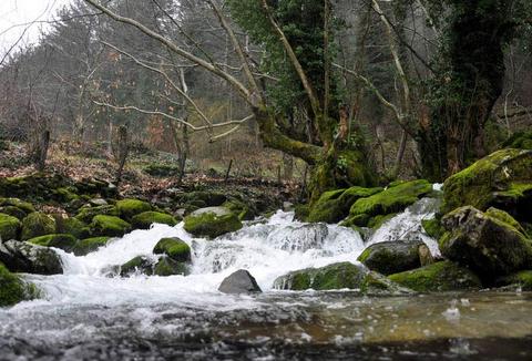 Kaz Dağları galerisi resim 3