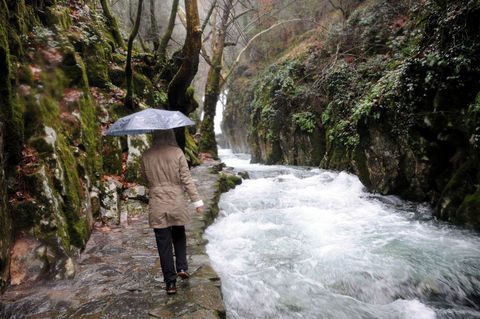 Kaz Dağları galerisi resim 5