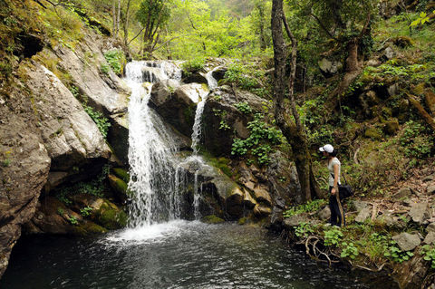 Kaz Dağları galerisi resim 7