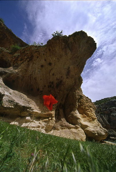 Kaz Dağları galerisi resim 8