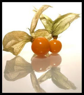 Erdoğan bu meyvenin abonesi