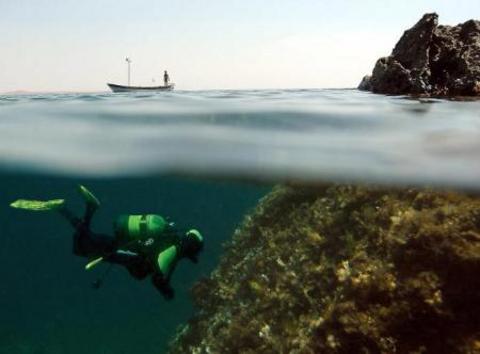 Dalış cennetleri galerisi resim 1