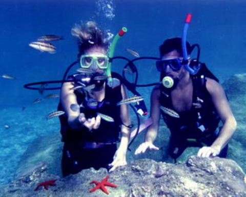 Dalış cennetleri galerisi resim 10