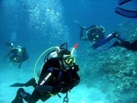 Dalış cennetleri galerisi resim 13