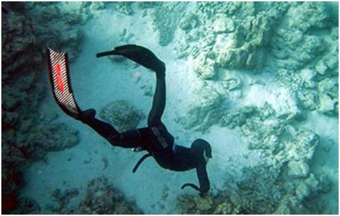 Dalış cennetleri galerisi resim 18