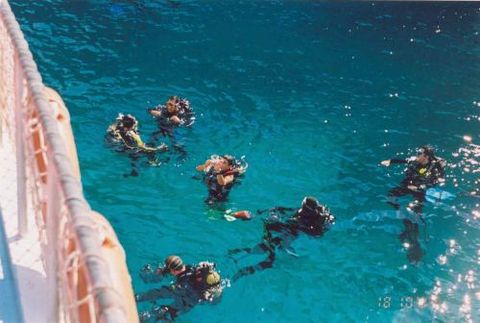 Dalış cennetleri galerisi resim 2