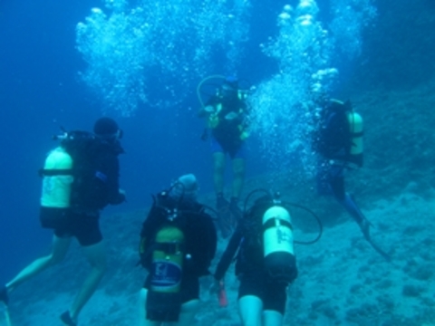 Dalış cennetleri galerisi resim 3