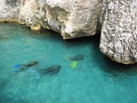 Dalış cennetleri galerisi resim 5