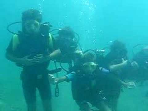 Dalış cennetleri galerisi resim 9