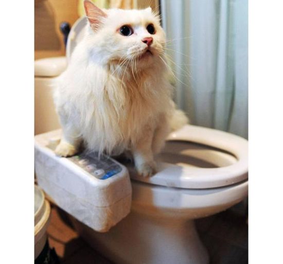 2009'un en ilginç icatları galerisi resim 9