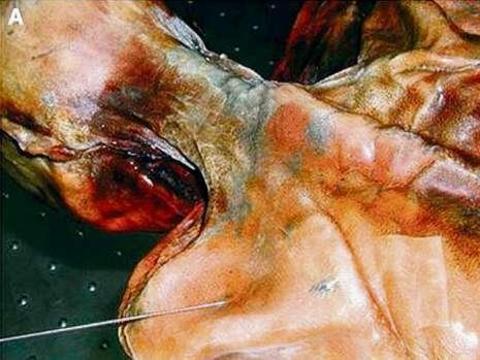 5300 yıl sonra şifresi çözüldü! galerisi resim 4