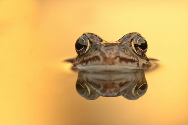 BU FOTOĞRAF AVRUPA'NIN GÖZDESİ OLDU galerisi resim 19