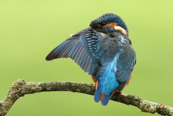 BU FOTOĞRAF AVRUPA'NIN GÖZDESİ OLDU galerisi resim 20