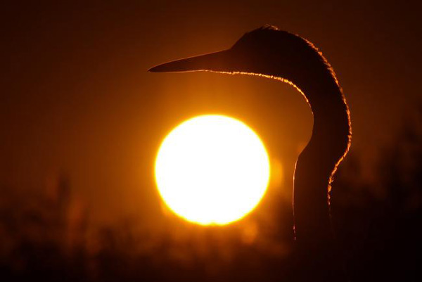 BU FOTOĞRAF AVRUPA'NIN GÖZDESİ OLDU galerisi resim 21
