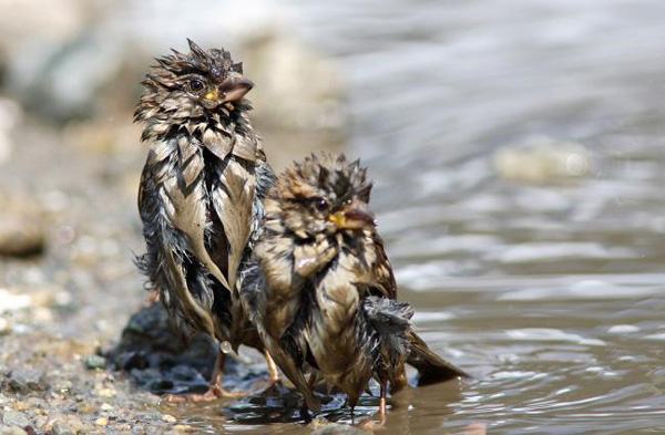 BU FOTOĞRAF AVRUPA'NIN GÖZDESİ OLDU galerisi resim 4