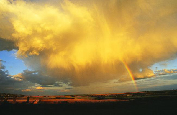BU FOTOĞRAF AVRUPA'NIN GÖZDESİ OLDU galerisi resim 7