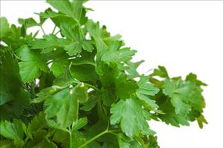 Ağız kokusunu önlemenin yolu galerisi resim 26