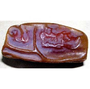 İşte kilo verdiren hurma diyet galerisi resim 7