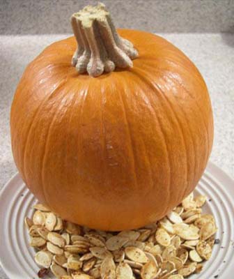 Kabak çekirdeğinin bilinmeyenleri galerisi resim 2