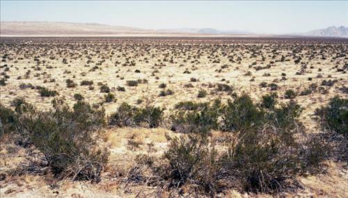 Yaşayan en eski varlıklar... galerisi resim 14