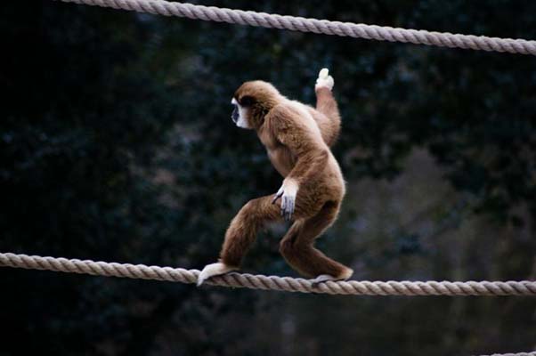 Böylesi ilk kez galerisi resim 1