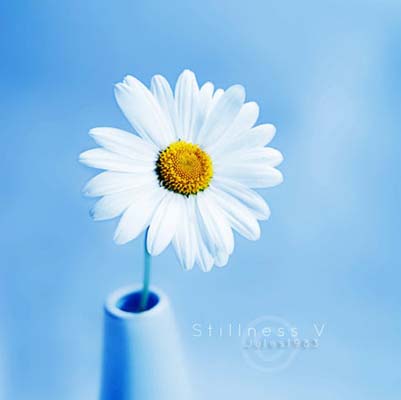 Böylesi ilk kez galerisi resim 18