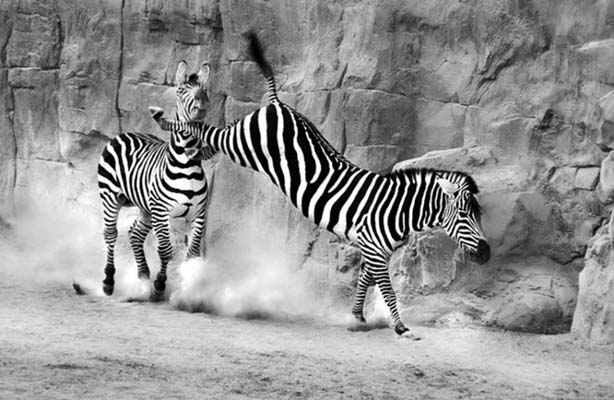 Böylesi ilk kez galerisi resim 2