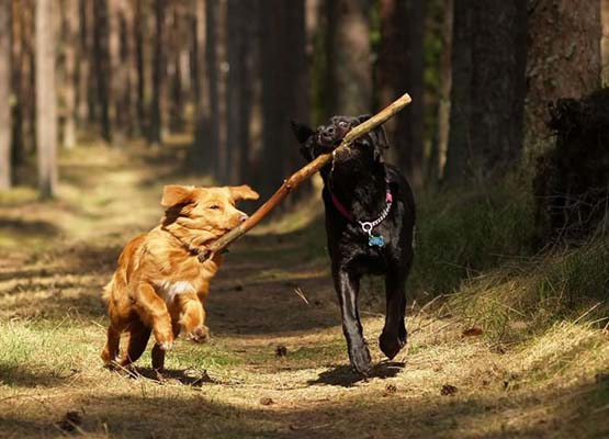 Böylesi ilk kez galerisi resim 20