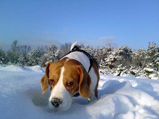 Böylesi ilk kez galerisi resim 25
