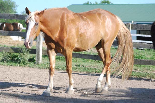 Böylesi ilk kez galerisi resim 29
