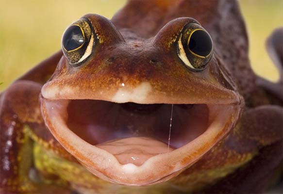 Böylesi ilk kez galerisi resim 30