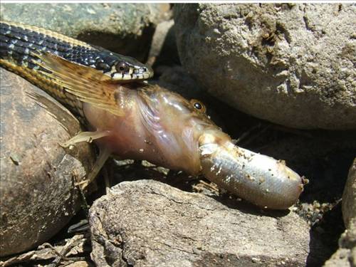 Tam o anda çekildiler galerisi resim 1