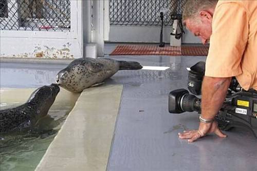 Tam o anda çekildiler galerisi resim 15