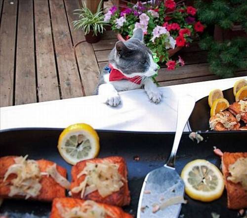 Tam o anda çekildiler galerisi resim 16