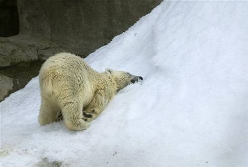 Tam o anda çekildiler galerisi resim 22