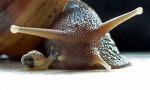 Tam o anda çekildiler galerisi resim 25