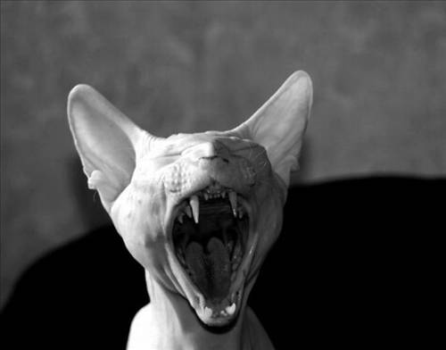 Tam o anda çekildiler galerisi resim 27