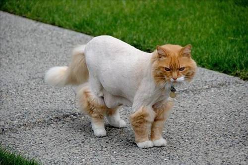 Tam o anda çekildiler galerisi resim 28