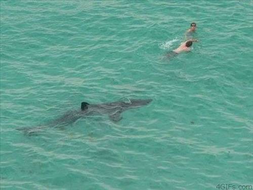 Tam o anda çekildiler galerisi resim 32