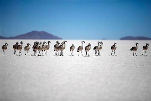 Tam o anda çekildiler galerisi resim 42